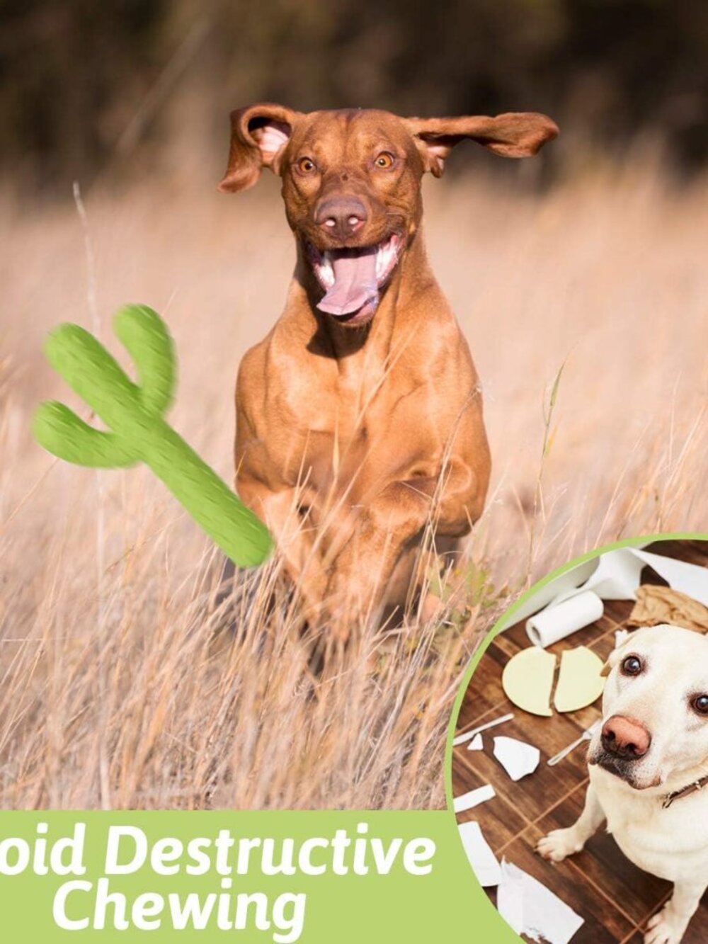 Dog Chew Toys, Durable Rubber Dog Toys for Aggressive Chewers, Tough Toys for Tr - Picture 5 of 7